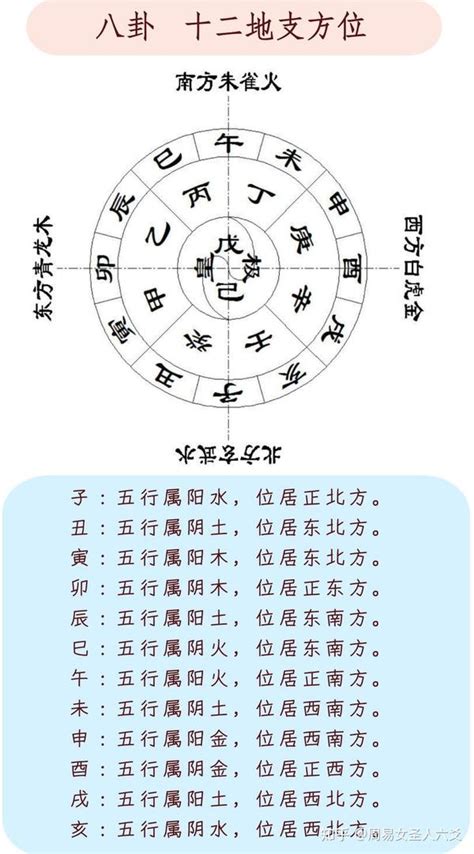 未五行|八字十二地支詳解——未